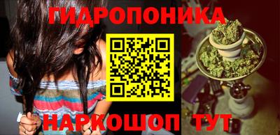 бошки Дубна