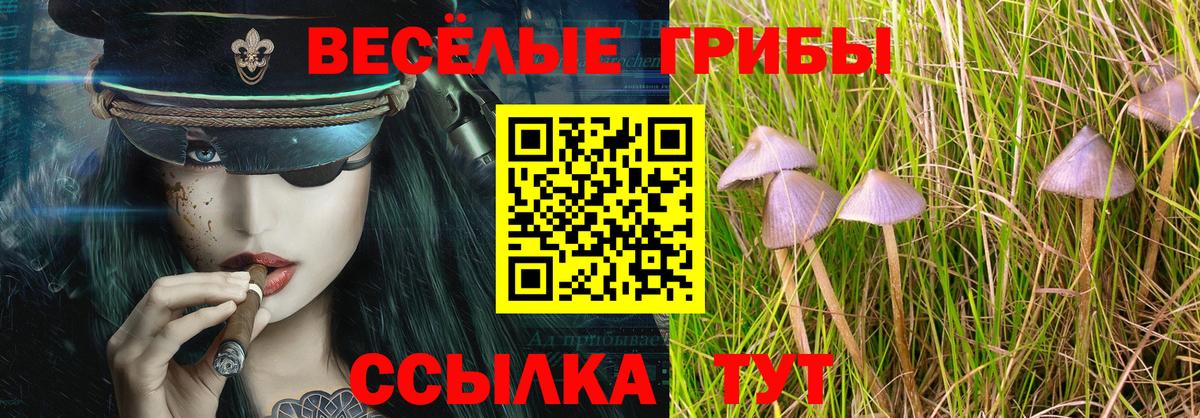 Псилоцибиновые грибы Psilocybine cubensis  Вход с VPN  Вологда  Галлюциногенные грибы MAGIC MUSHROOMS 