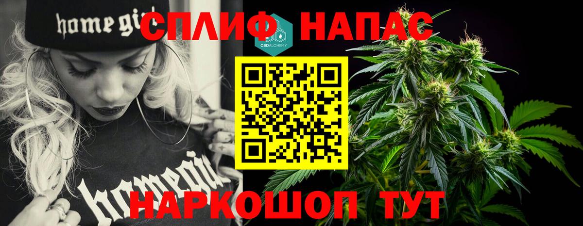 Конопля марихуана Вологда